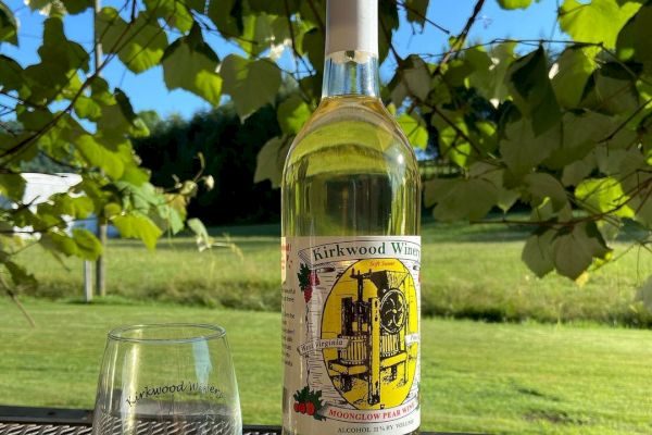 A bottle of wine and a glass sit on an outdoor table with greenery in the background, under a sunny blue sky.