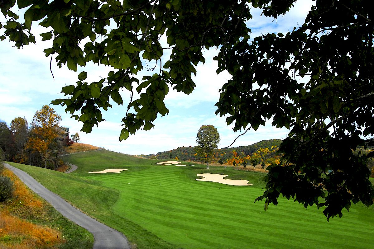 The image shows a well-maintained golf course with lush green grass, sand bunkers, and a paved path, framed by tree branches in the foreground.